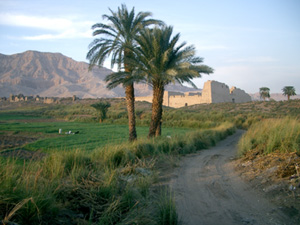 medinet habou